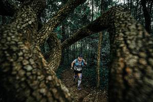 BIB: 
                            <button type="button" onclick="openModal(25671765)" class="btn btn-primary btn-sm float-right btn-popup" data-toggle="modal" data-target=".modal-high-quality">
                        <i class="fas fa-shopping-cart"></i> Add to Cart
                    </button>
                                            <button type="button" onclick="isThisMe(25671765, true)" class="btn btn-success btn-sm float-right btn-popup btn-isme hidden" data-toggle="tooltip" data-placement="bottom" title="นี่คือรูปของคุณใช่ไหม คลิกที่นี่เพื่อเอาเข้าอัลบั้ม">
                        <i class="fas fa-plus"></i> Add to album
                    </button>
                    <button type="button" onclick="isThisMe(25671765, false)" class="btn btn-warning btn-sm float-right btn-popup btn-isnotme hidden">
                        <i class="fas fa-ban"></i> Remove from album
                    </button>